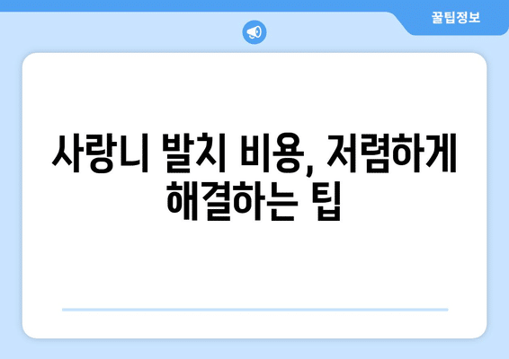 강원도 태백시 철암동 사랑니 발치 치과 가격 비용 잘하는 곳 추천 BEST 10 비교 가이드