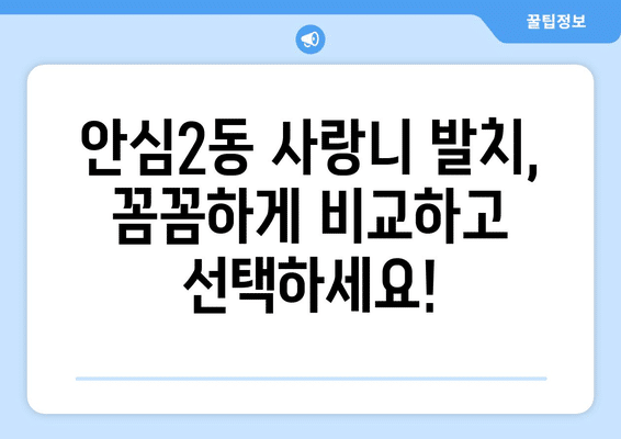 대구시 동구 안심2동 사랑니 발치 치과 가격 비용 잘하는 곳 추천 BEST 10 비교 가이드