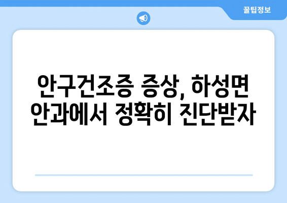경기도 김포시 하성면 안구건조증 안과 추천 잘하는 곳 총정리