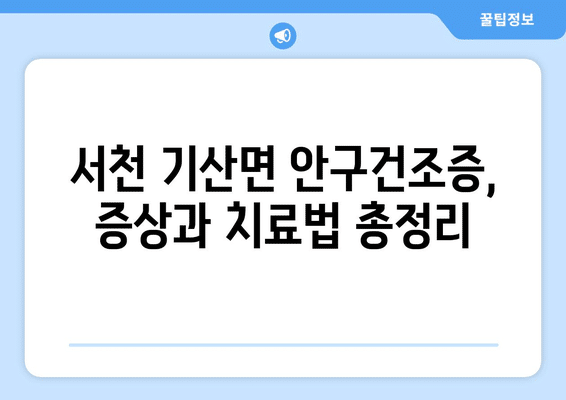 충청남도 서천군 기산면 안구건조증 안과 추천 잘하는 곳 총정리
