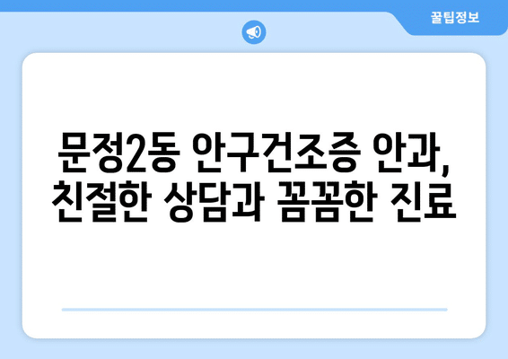 서울시 송파구 문정2동 안구건조증 안과 추천 잘하는 곳 총정리