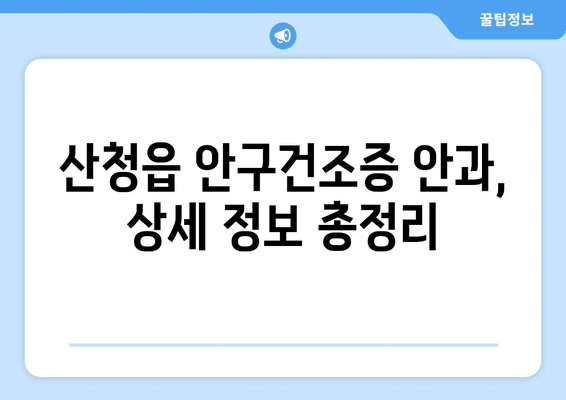 경상남도 산청군 산청읍 안구건조증 안과 추천 잘하는 곳 총정리