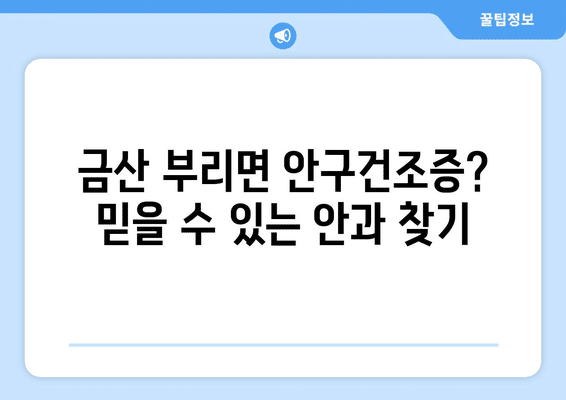 충청남도 금산군 부리면 안구건조증 안과 추천 잘하는 곳 총정리