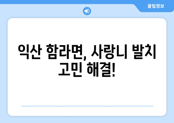 전라북도 익산시 함라면 사랑니 발치 치과 가격 비용 잘하는 곳 추천 BEST 10 비교 가이드