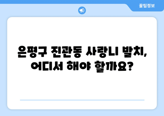 서울시 은평구 진관동 사랑니 발치 치과 가격 비용 잘하는 곳 추천 BEST 10 비교 가이드