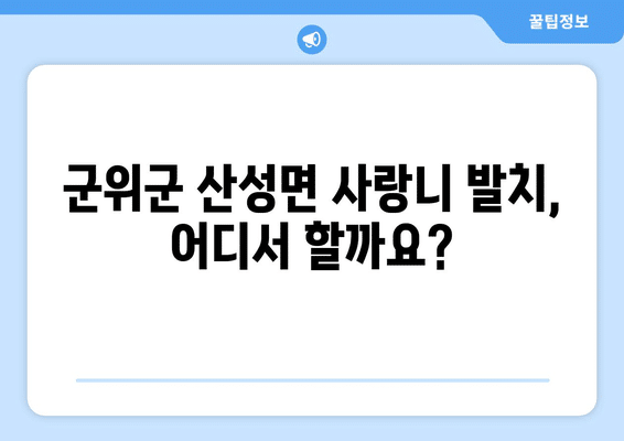 대구시 군위군 산성면 사랑니 발치 치과 가격 비용 잘하는 곳 추천 BEST 10 비교 가이드