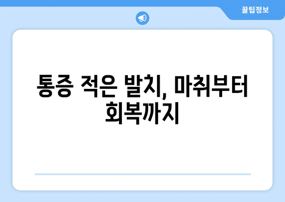 강원도 화천군 하남면 사랑니 발치 치과 가격 비용 잘하는 곳 추천 BEST 10 비교 가이드