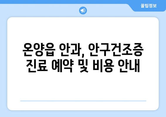 울산시 울주군 온양읍 안구건조증 안과 추천 잘하는 곳 총정리