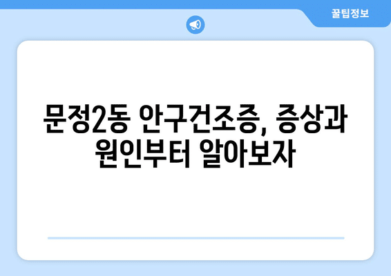 서울시 송파구 문정2동 안구건조증 안과 추천 잘하는 곳 총정리