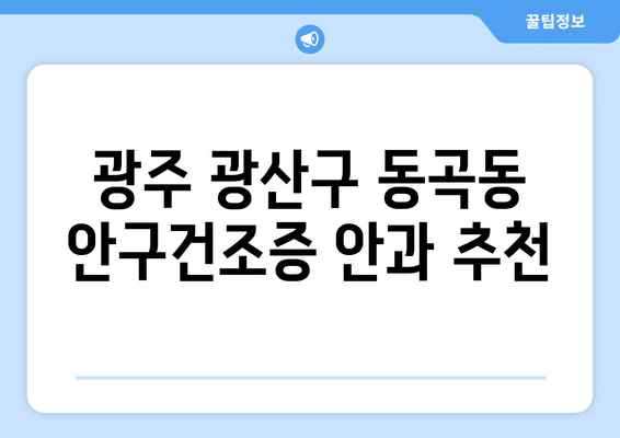 광주시 광산구 동곡동 안구건조증 안과 추천 잘하는 곳 총정리