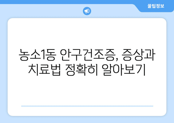 울산시 북구 농소1동 안구건조증 안과 추천 잘하는 곳 총정리