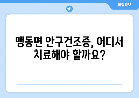 충청북도 음성군 맹동면 안구건조증 안과 추천 잘하는 곳 총정리