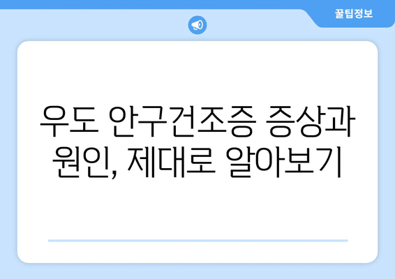제주도 제주시 우도면 안구건조증 안과 추천 잘하는 곳 총정리