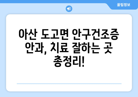 충청남도 아산시 도고면 안구건조증 안과 추천 잘하는 곳 총정리