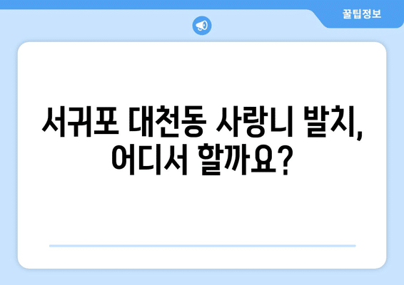 제주도 서귀포시 대천동 사랑니 발치 치과 가격 비용 잘하는 곳 추천 BEST 10 비교 가이드