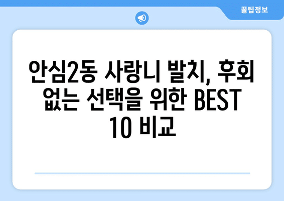 대구시 동구 안심2동 사랑니 발치 치과 가격 비용 잘하는 곳 추천 BEST 10 비교 가이드