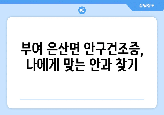 충청남도 부여군 은산면 안구건조증 안과 추천 잘하는 곳 총정리