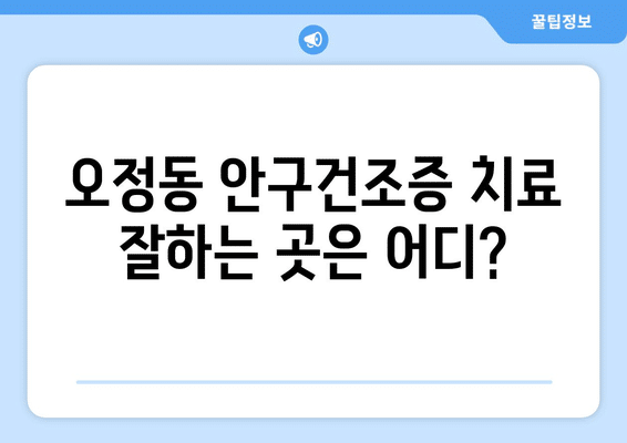 대전시 대덕구 오정동 안구건조증 안과 추천 잘하는 곳 총정리