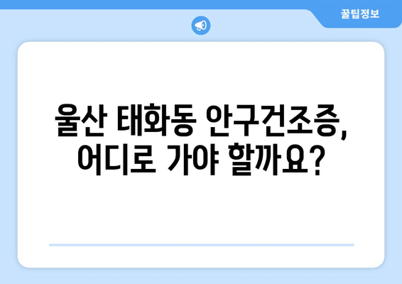 울산시 중구 태화동 안구건조증 안과 추천 잘하는 곳 총정리