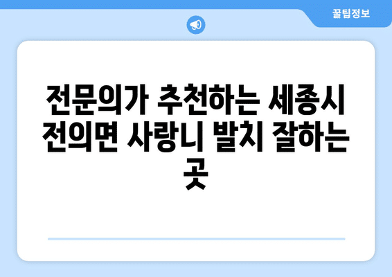 세종시 세종특별자치시 전의면 사랑니 발치 치과 가격 비용 잘하는 곳 추천 BEST 10 비교 가이드