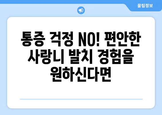 세종시 세종특별자치시 전의면 사랑니 발치 치과 가격 비용 잘하는 곳 추천 BEST 10 비교 가이드
