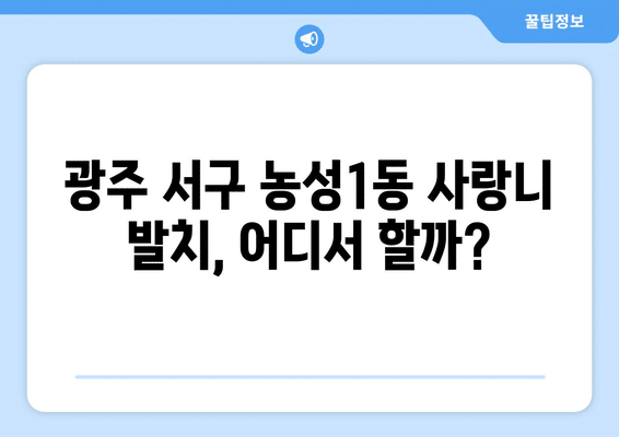 광주시 서구 농성1동 사랑니 발치 치과 가격 비용 잘하는 곳 추천 BEST 10 비교 가이드