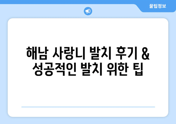 전라남도 해남군 해남읍 사랑니 발치 치과 가격 비용 잘하는 곳 추천 BEST 10 비교 가이드