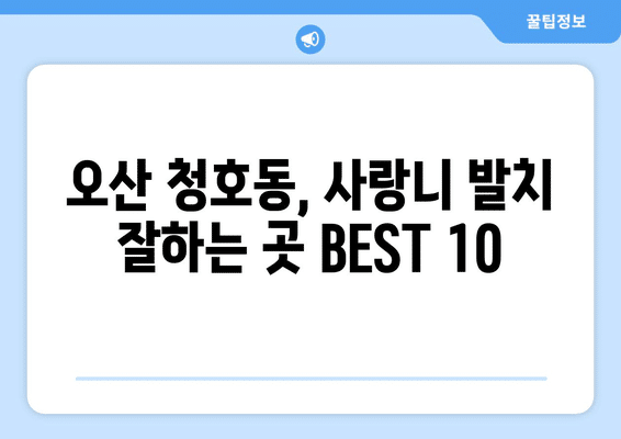경기도 오산시 청호동 사랑니 발치 치과 가격 비용 잘하는 곳 추천 BEST 10 비교 가이드