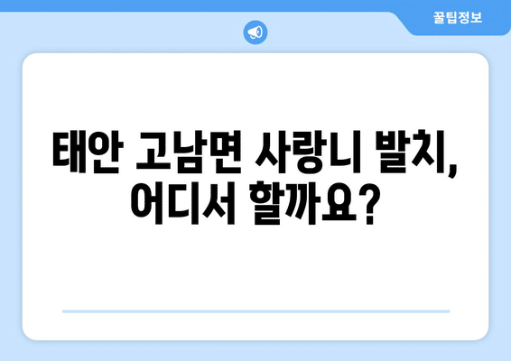 충청남도 태안군 고남면 사랑니 발치 치과 가격 비용 잘하는 곳 추천 BEST 10 비교 가이드