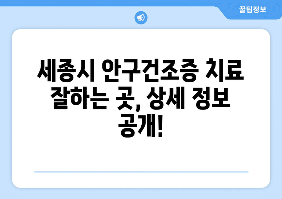 세종시 세종특별자치시 조치원읍 안구건조증 안과 추천 잘하는 곳 총정리