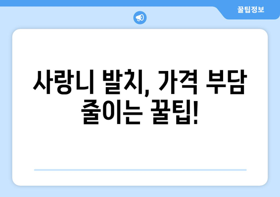 대전시 서구 변동 사랑니 발치 치과 가격 비용 잘하는 곳 추천 BEST 10 비교 가이드