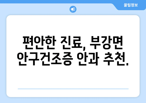 세종시 세종특별자치시 부강면 안구건조증 안과 추천 잘하는 곳 총정리