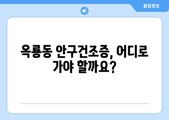 충청남도 공주시 옥룡동 안구건조증 안과 추천 잘하는 곳 총정리