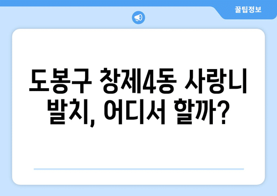 서울시 도봉구 창제4동 사랑니 발치 치과 가격 비용 잘하는 곳 추천 BEST 10 비교 가이드