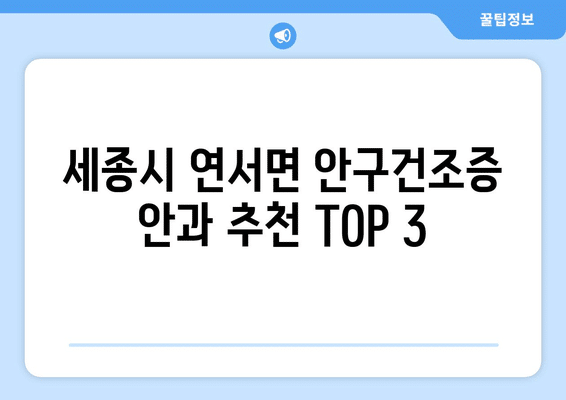 세종시 세종특별자치시 연서면 안구건조증 안과 추천 잘하는 곳 총정리