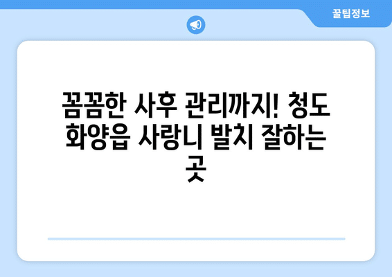 경상북도 청도군 화양읍 사랑니 발치 치과 가격 비용 잘하는 곳 추천 BEST 10 비교 가이드