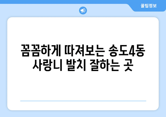 인천시 연수구 송도4동 사랑니 발치 치과 가격 비용 잘하는 곳 추천 BEST 10 비교 가이드