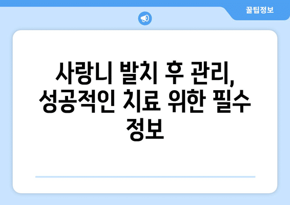 부산시 수영구 남천1동 사랑니 발치 치과 가격 비용 잘하는 곳 추천 BEST 10 비교 가이드