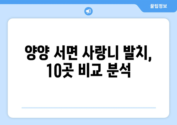 강원도 양양군 서면 사랑니 발치 치과 가격 비용 잘하는 곳 추천 BEST 10 비교 가이드