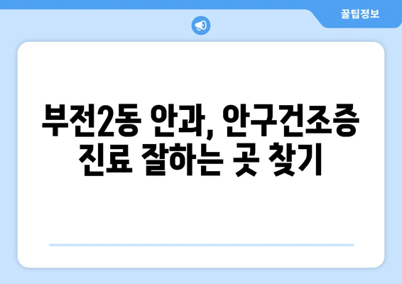 부산시 부산진구 부전2동 안구건조증 안과 추천 잘하는 곳 총정리