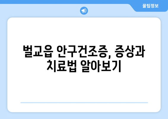 전라남도 보성군 벌교읍 안구건조증 안과 추천 잘하는 곳 총정리