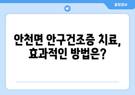 전라북도 진안군 안천면 안구건조증 안과 추천 잘하는 곳 총정리