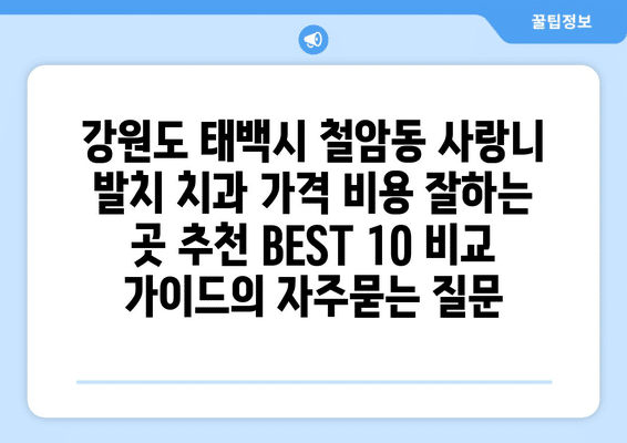 강원도 태백시 철암동 사랑니 발치 치과 가격 비용 잘하는 곳 추천 BEST 10 비교 가이드
