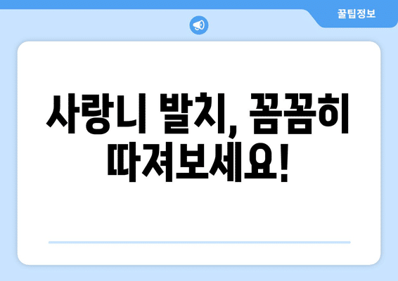 대구시 중구 동인1가동 사랑니 발치 치과 가격 비용 잘하는 곳 추천 BEST 10 비교 가이드