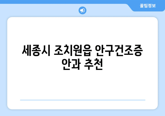 세종시 세종특별자치시 조치원읍 안구건조증 안과 추천 잘하는 곳 총정리