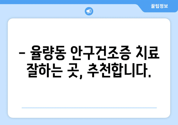 충청북도 청주시 청원구 율량동 안구건조증 안과 추천 잘하는 곳 총정리