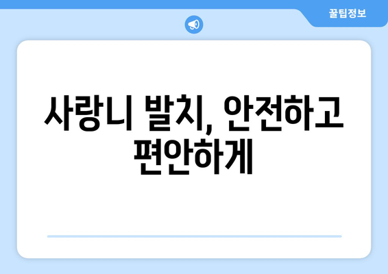 전라북도 장수군 계북면 사랑니 발치 치과 가격 비용 잘하는 곳 추천 BEST 10 비교 가이드