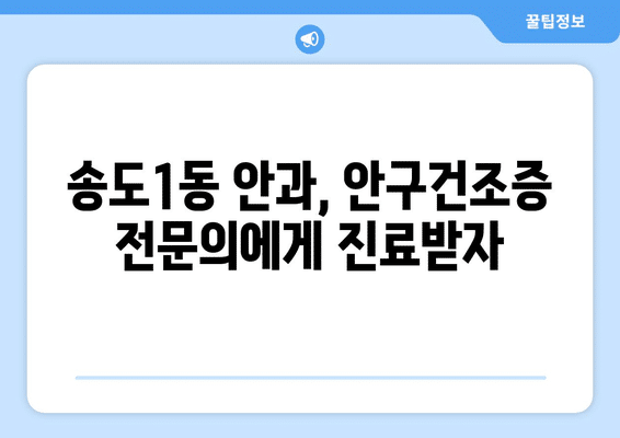 인천시 연수구 송도1동 안구건조증 안과 추천 잘하는 곳 총정리