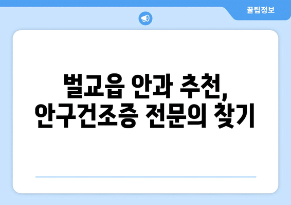 전라남도 보성군 벌교읍 안구건조증 안과 추천 잘하는 곳 총정리