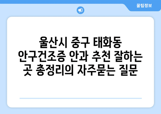 울산시 중구 태화동 안구건조증 안과 추천 잘하는 곳 총정리